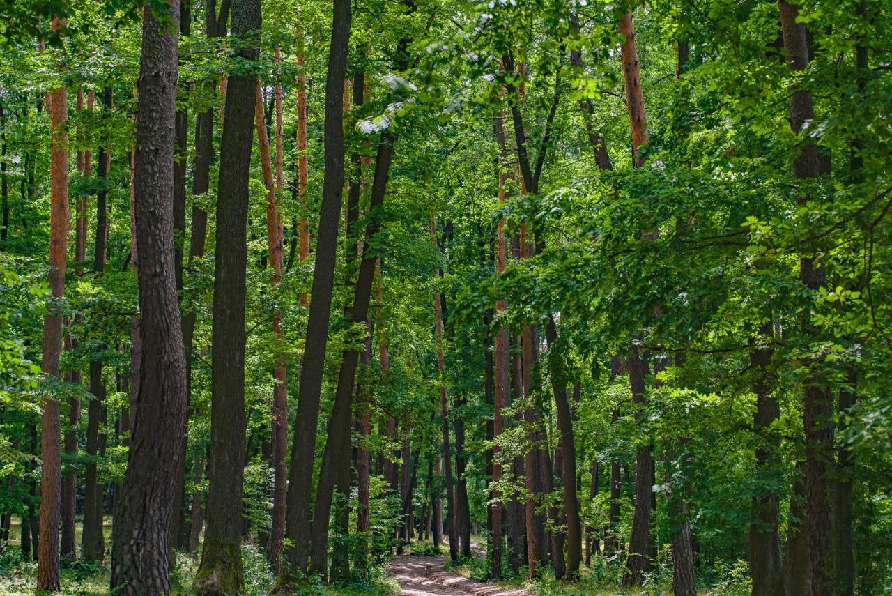 Chata Hlboke Bojnice Buitenkant foto